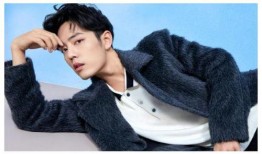 肖战工作室最新爆料消息,揭秘背后故事与精彩瞬间